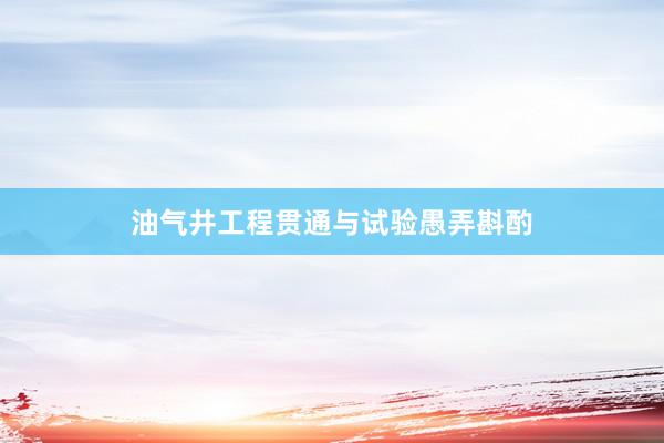 油气井工程贯通与试验愚弄斟酌